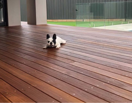 Honey to grey-brown tones